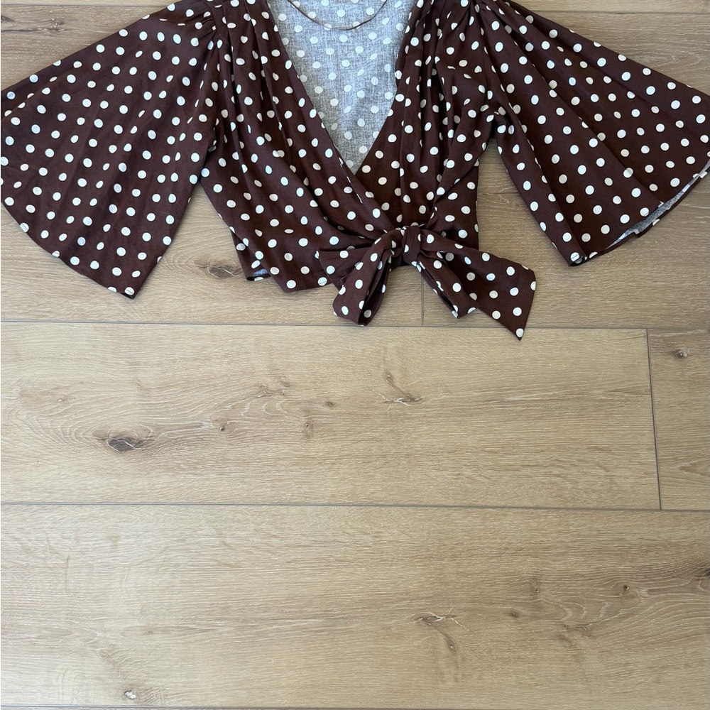 Zara Brown and White Polka Dot Blouse